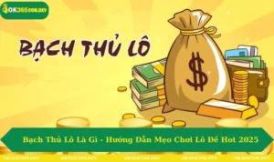 Bạch thủ lô là gì