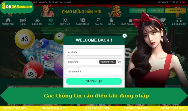 Các thông tin cần điền khi đăng nhập