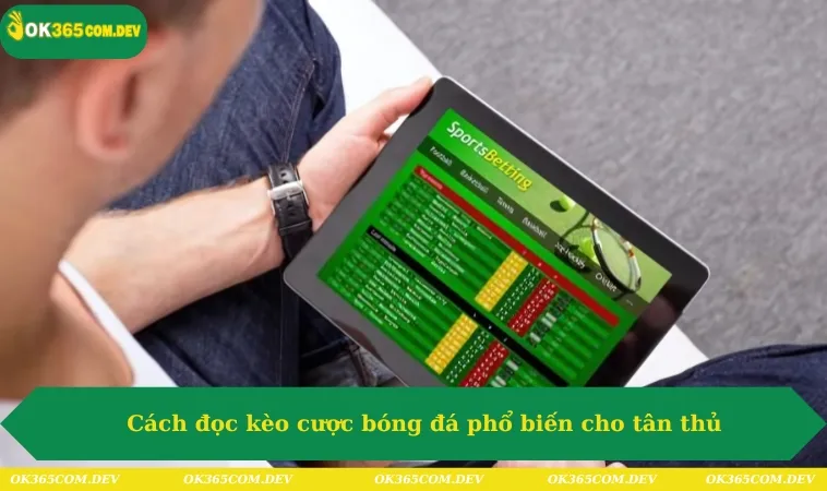 Cách Đọc Kèo Bóng Đá Đơn Giản, Cá Cược Săn Thưởng Hot 2025 344 Cách đọc kèo cược bóng đá phổ biến cho tân thủ