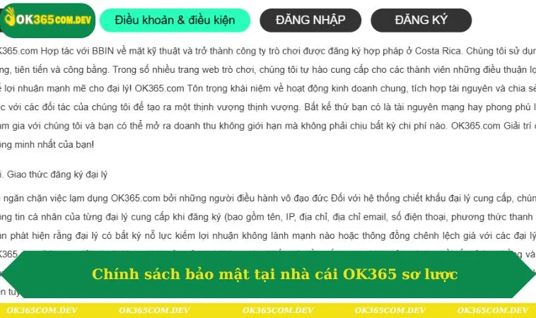 Chính sách bảo mật tại nhà cái OK365 sơ lược