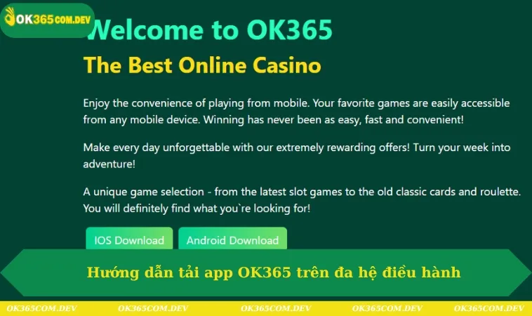 Hướng dẫn tải app OK365 trên đa hệ điều hành