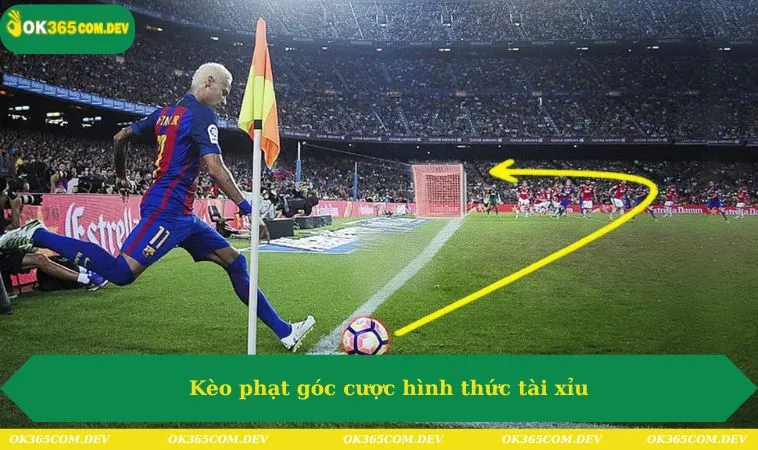 Kèo Phạt Góc Là Gì - Tìm Hiểu Hình Thức Cược Bóng Đá Hot 350 Kèo phạt góc cược hình thức tài xỉu