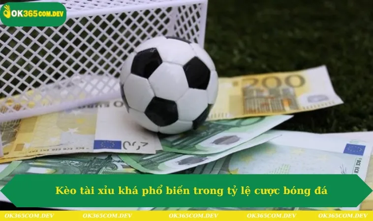 Tỷ Lệ Cá Cược Bóng Đá Chất Lượng Chỉ Có Tại OK365 338 Kèo tài xỉu khá phổ biến trong tỷ lệ cược bóng đá