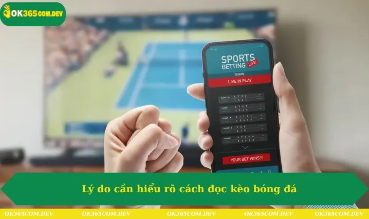 Cách Đọc Kèo Bóng Đá Đơn Giản, Cá Cược Săn Thưởng Hot 2025 344 Lý do người chơi cần hiểu rõ cách đọc kèo bóng đá