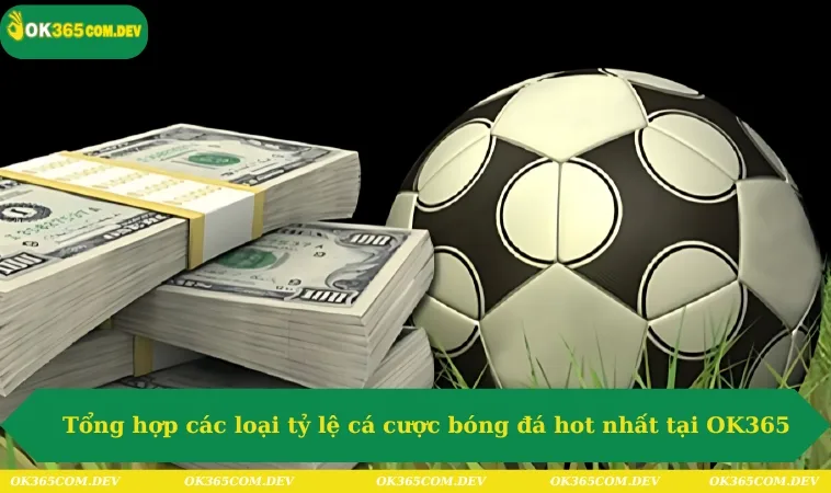 Tỷ Lệ Cá Cược Bóng Đá Chất Lượng Chỉ Có Tại OK365 338 Tổng hợp các loại tỷ lệ cá cược bóng đá hot nhất tại OK365