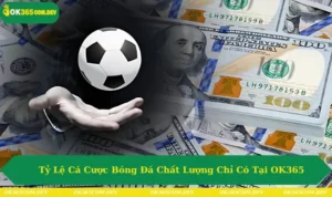 Tỷ lệ cá cược bóng đá